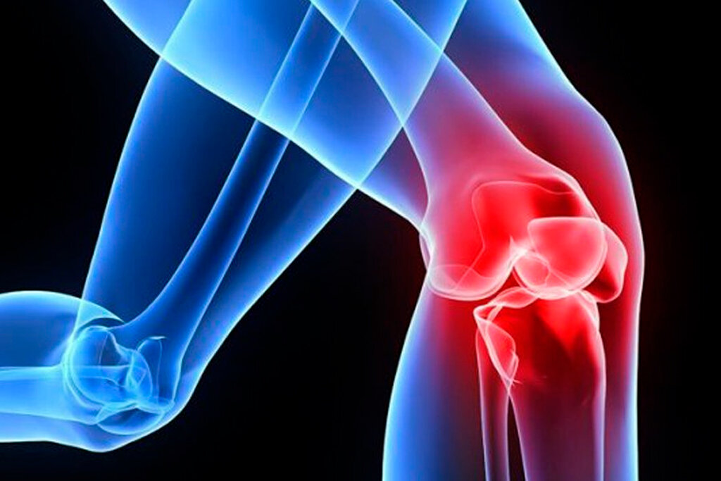 Коленный сустав