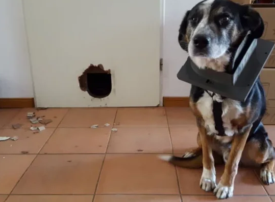 Источник: pinterest.com