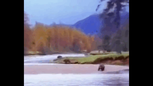 Просто смех!