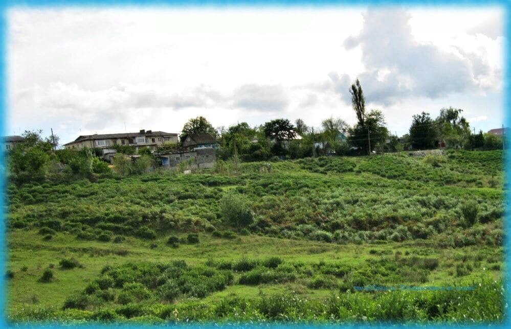 Вид на село со стороны плантаций чая