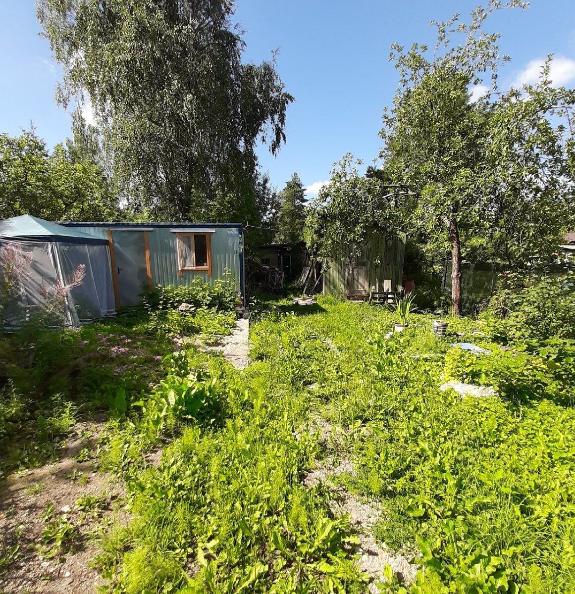 Личный архив. Подзаросла дачка