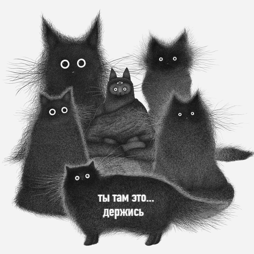 с просторов интернета