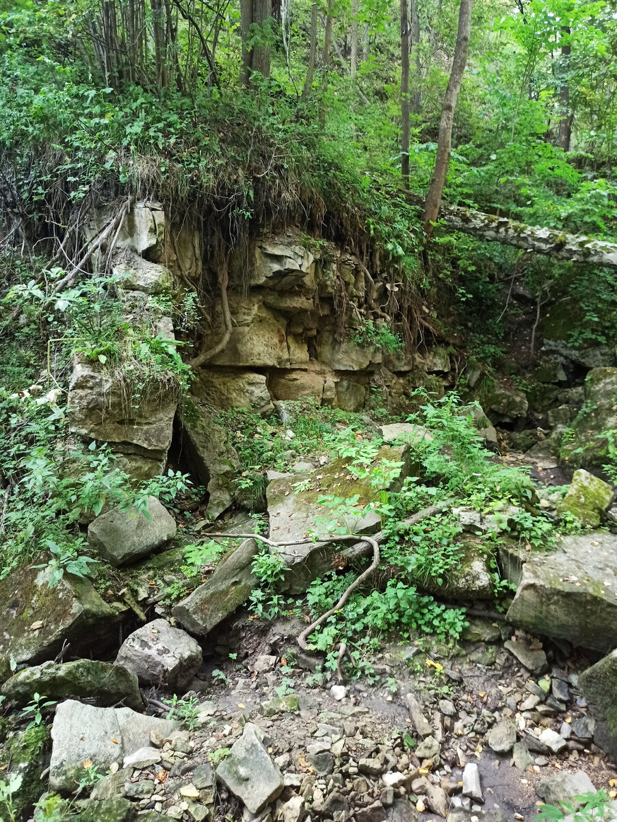 Кольцовские пещеры в калужской области фото