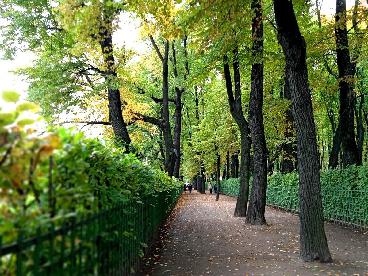 Все фото автора