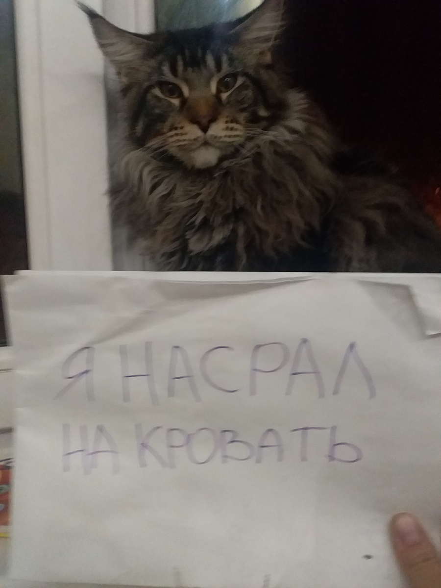 Личное фото