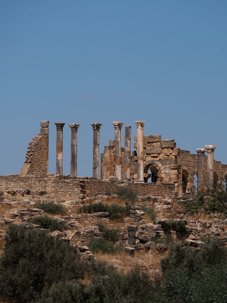 instagram.com/milyoki_blog 