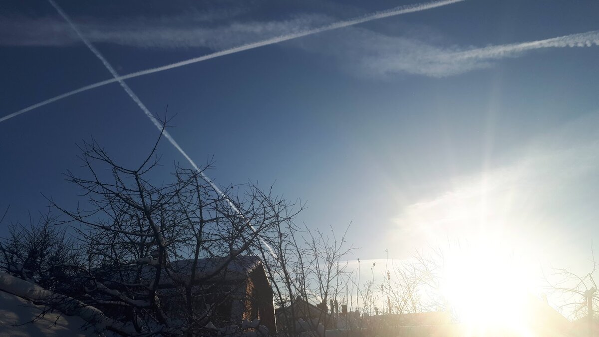 Фото сделала днем в 13 ч. 21.12. 2021 г. . Ох, и низехонько над горизонтом солнышко повисло, будто не днем снимала, а утром.
