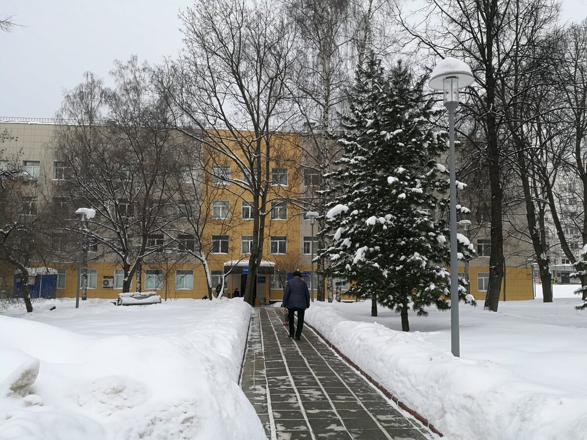 Коротко о медицине в Москве на примере поликлиники при знаменитой ГКБ имени  Вересаева: к врачу не попасть - лечитесь сами | Совершенно ЛЕТНЯЯ | Дзен