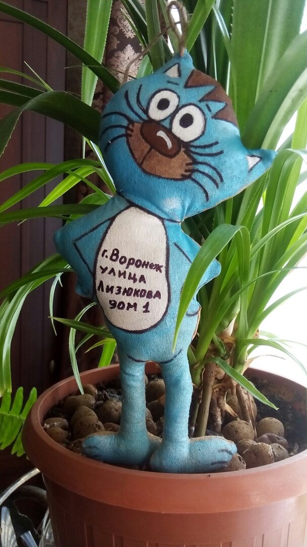 Кот с улицы Лизюкова