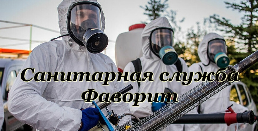 Уничтожение тараканов и клопов в квартире.