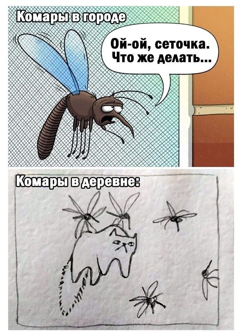 Все фото в открытом доступе