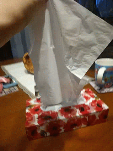 Источник: https://c.tenor.com/QgYjEWp_hkYAAAAC/hustki-tissue.gif