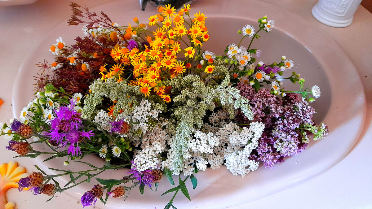 Люблю месяц июль, он дарит яркие краски цветов , ароматные запахи трав,