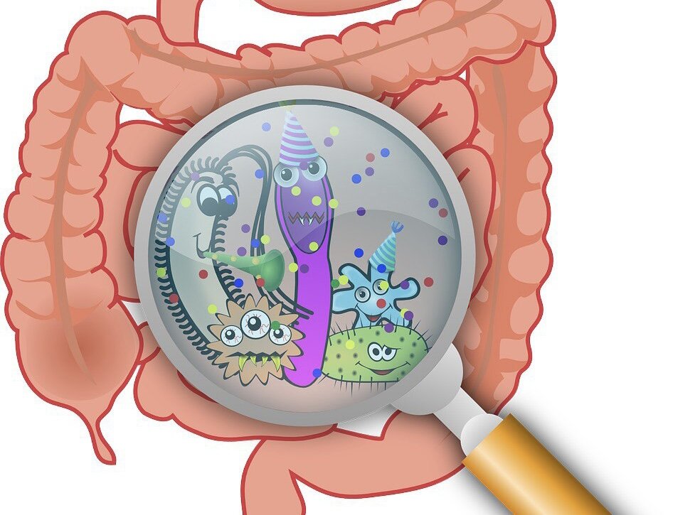 Кишечных часов. Острая кишечная непроходимость динамическая. При нарушении моторики кишечника с гнилостным запахом. Кишечных часов. Сколько времени проходит пища по кишечнику.