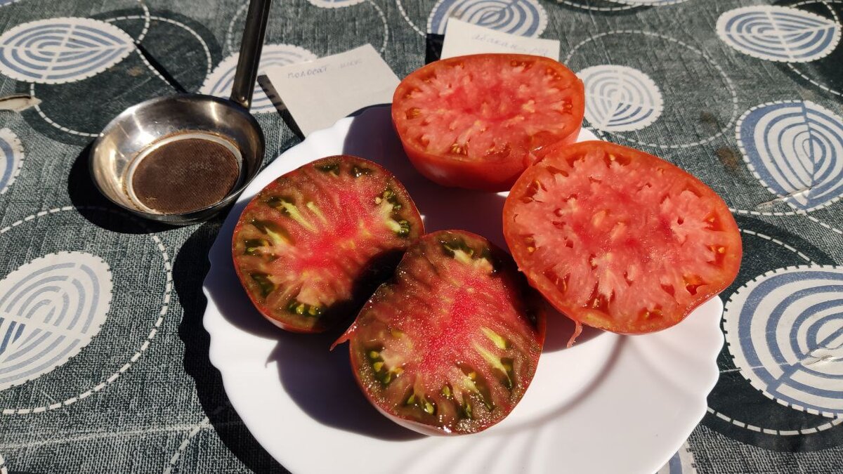 Абаканский розовый и Полосатый шоколад