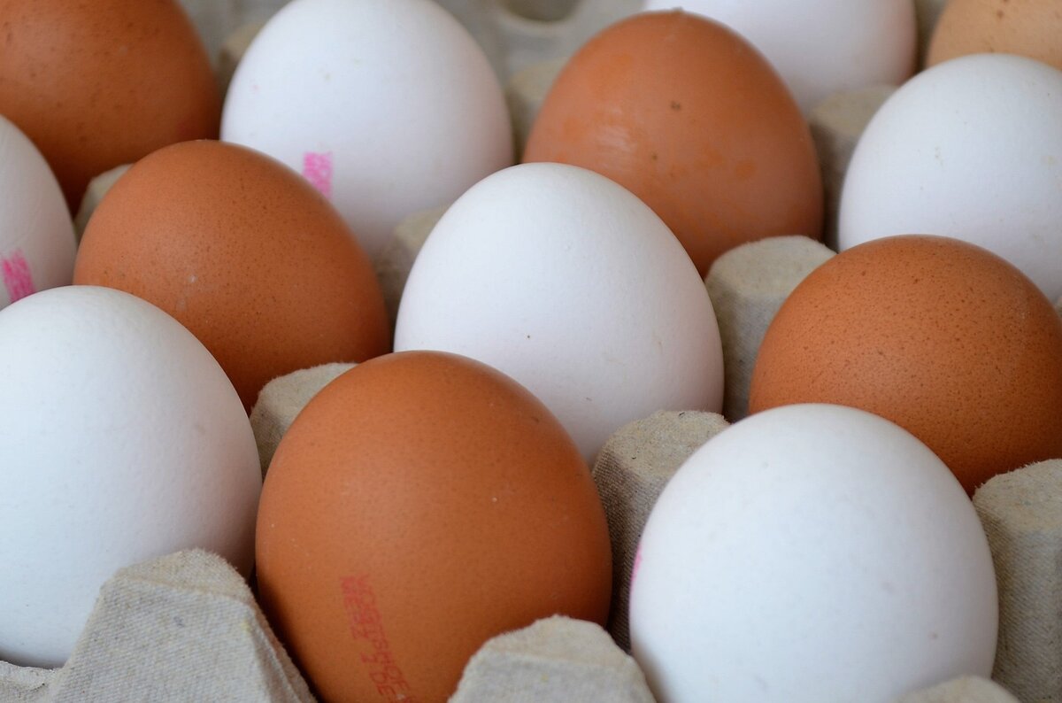 Категория Яйца СВ, СО, С1, С2, С3 и маркировка Д. Свойства Яиц и как  правильно выбирать Яйца. | Сладкий Мастер | Дзен
