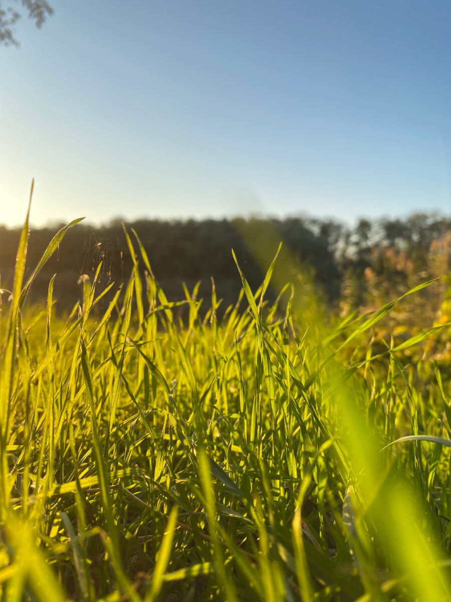 Советы путешественникам