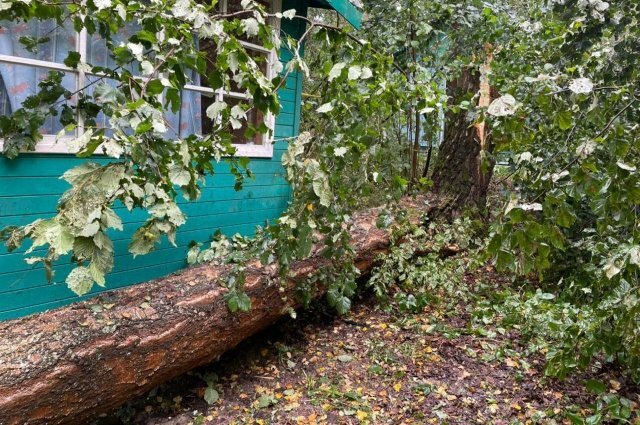 Прокуратура Калужской области