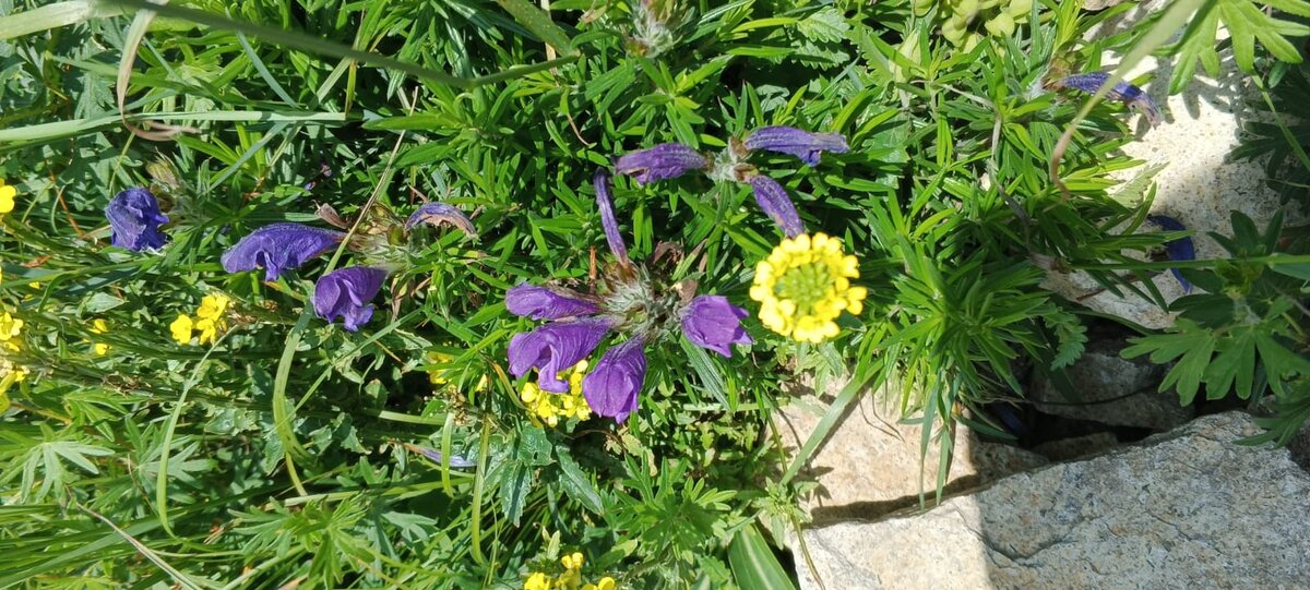 Фото Ларисы Малковой