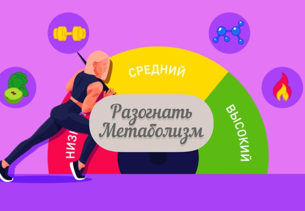 Разгон метаболизма, возможно ли? И как? | Нутрициолог Наталья Филиппова, ПП  и рационы | Дзен