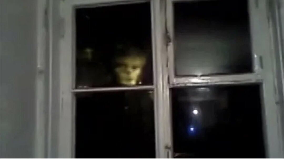 Фото из интернета