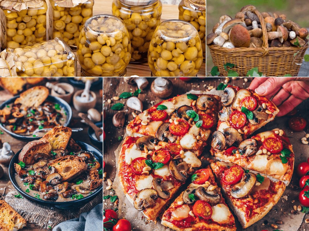 Источник: https://leso-vichok.ru. Грибы.