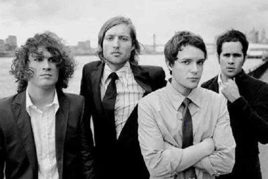    Реакция зрителей на фаната из России на концерте The Killers в Батуми разочаровала группу