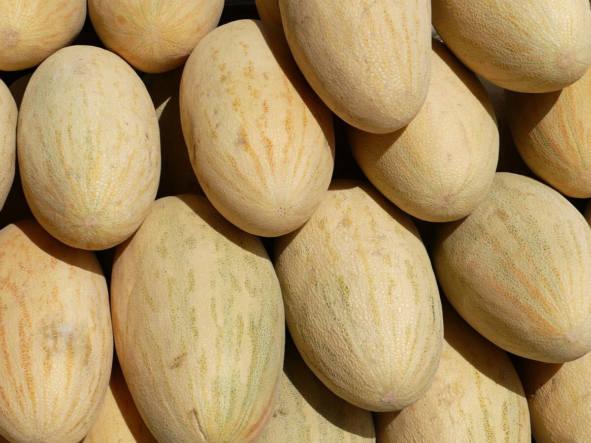 Фото: courthousenews.com