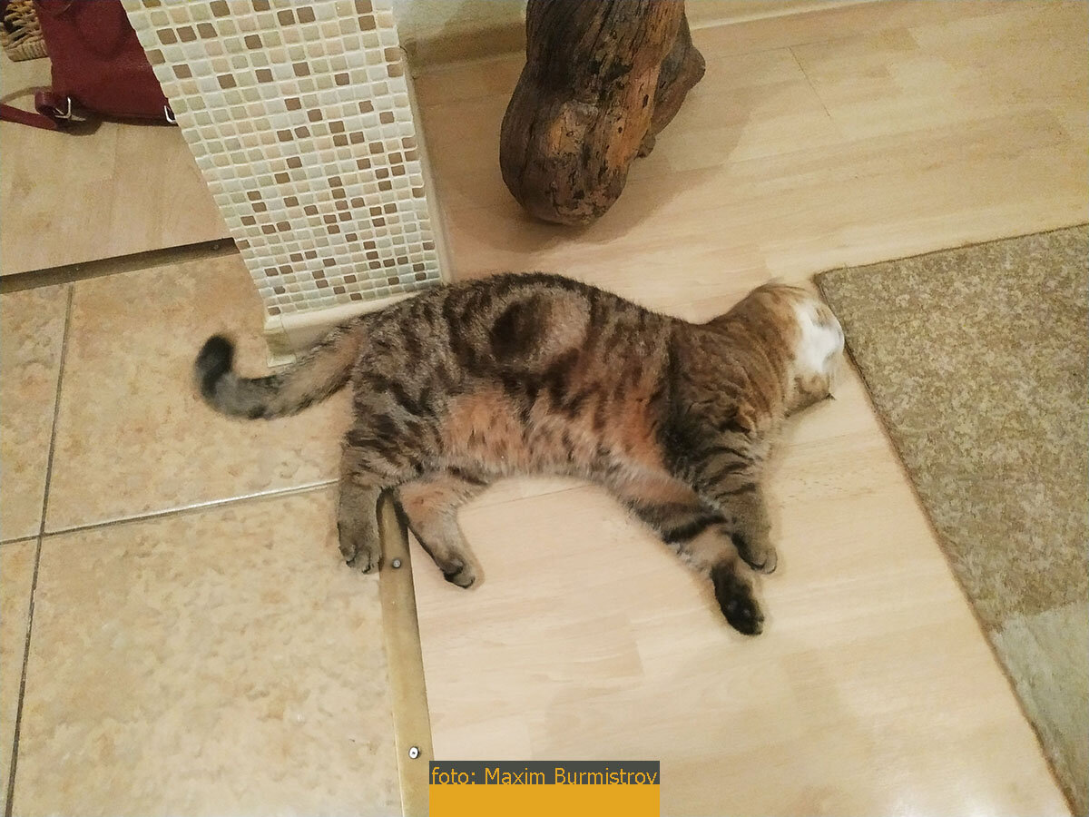 Ну чо, я ведь красавчик, правда?