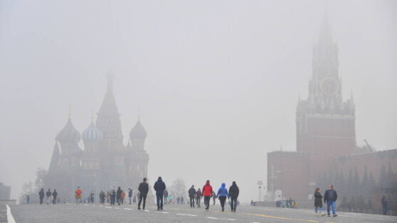    Московских водителей предупредили о тумане Ирина Петрова