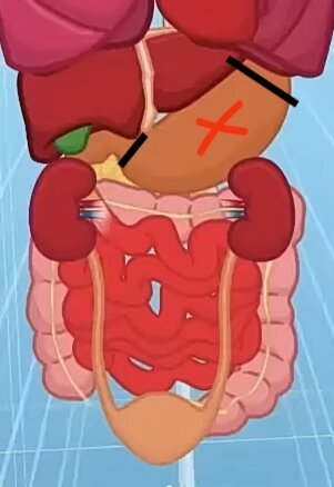 Фото сделано на youtube канале Наше тело. 