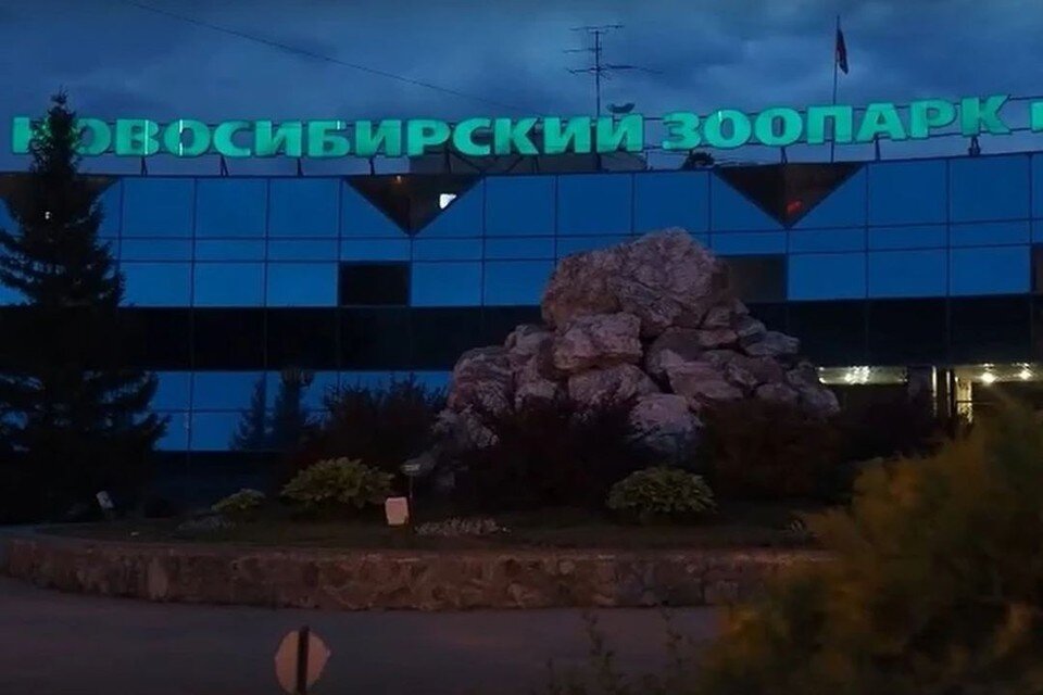    Из-за ранних сумерек зоопарк теперь работает по другому графику. Фото: Новосибирский зоопарк