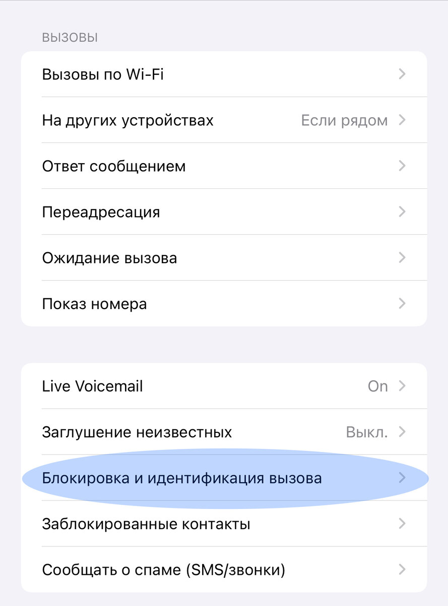 Пункт &quot;Заглушение <b>вызовов</b>&quot; лучше не трогайте, иначе будете пропус...