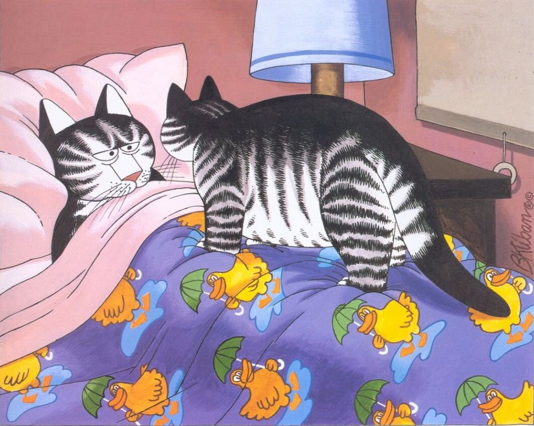 Чей кот на картинке