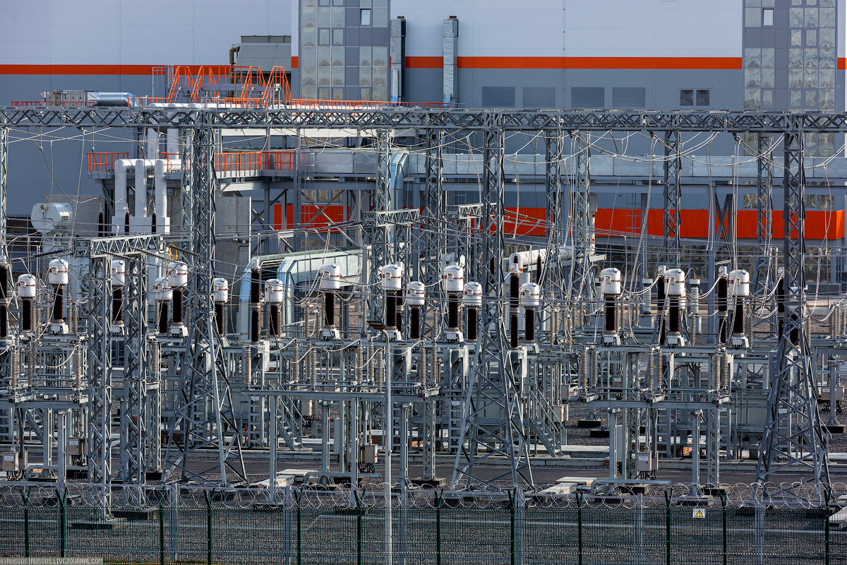 работники прегольской тэс. приморская тэс калининград новости. мирошник калининградская тэс. дгк лого. маяковская тэс.