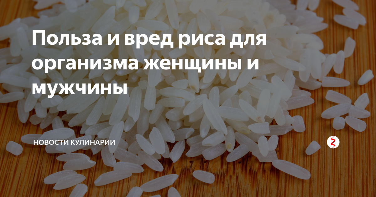 Рис польза и вред. Рис польза и вред для организма. Вред риса. Полезные свойства риса.