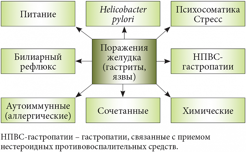 Язвенная болезнь желудка