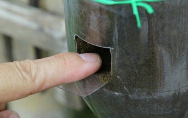 Как создать вертикальную грядку из пластиковых бутылок всего за 20 минут