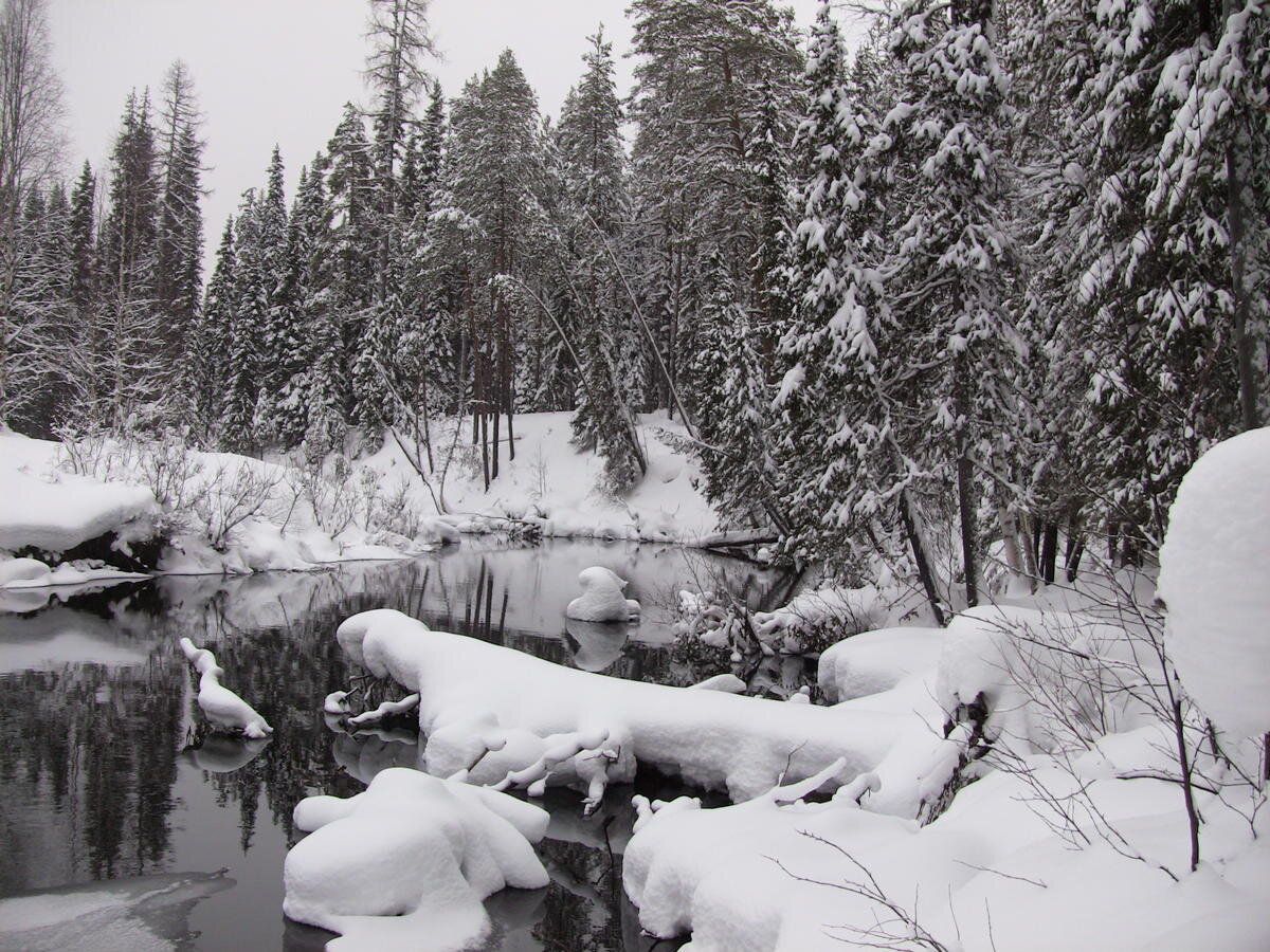 АВТОР СТАТЬИ: АЛЕКСЕЙ БЕЛЯКОВ