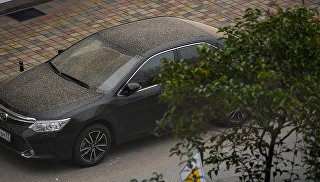 © РИА Новости / Нина ЗотинаВ Сочи выпал желтый снег"В этом нет ничего удивительного — подобные события происходили и раньше, в том числе в 2007 году в Сибири. На этот раз в атмосфере над Европой оказалось большое количество пыли, попавшей в воздух из Сахары и других регионов Северной Африки. Когда идет снег или дождь, они тащат вниз все то, что присутствует в атмосфере, в том числе и песок", — заявил Стивен Китс (Steven Keates), климатолог из Британской метеорологической организации.