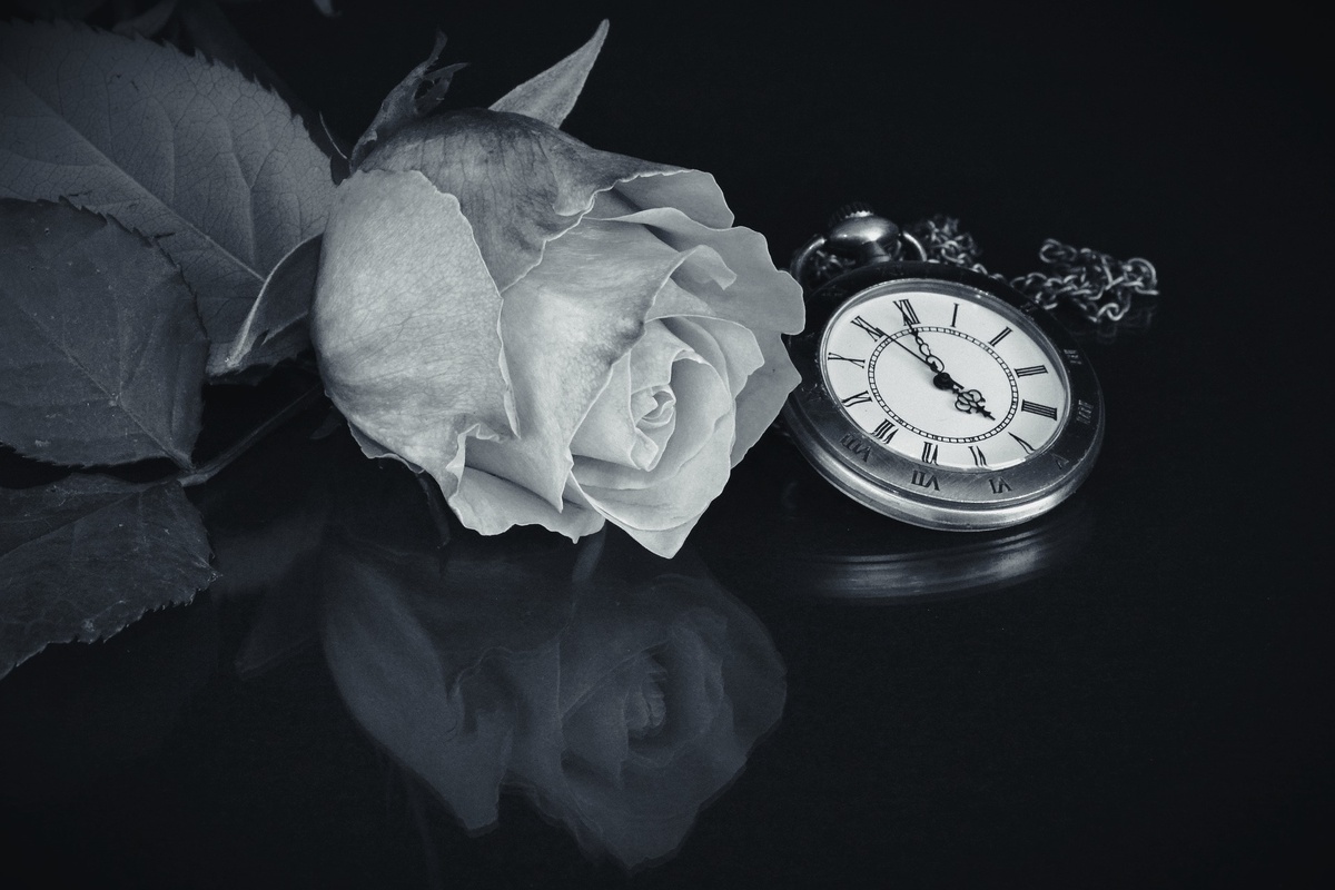 https://pixabay.com/