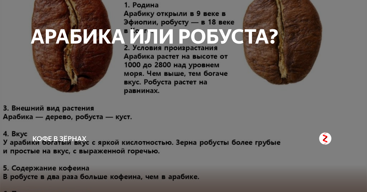 АРАБИКА ИЛИ РОБУСТА? | Кофе - ХОББИ | Дзен