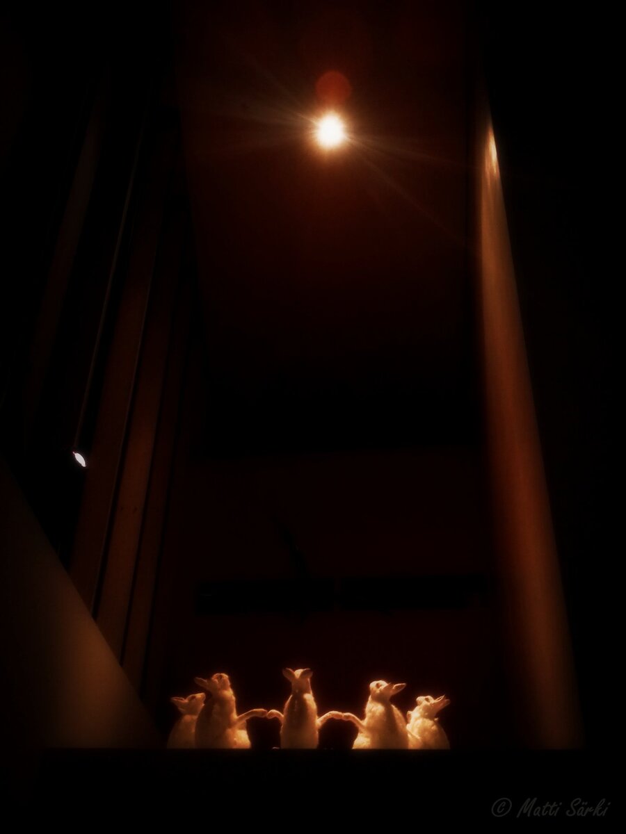 Инсталляция в центре природы Халтиа в Эспоо. Неприметно, на уровне второго этажа. Снизу просто так и не заметишь.