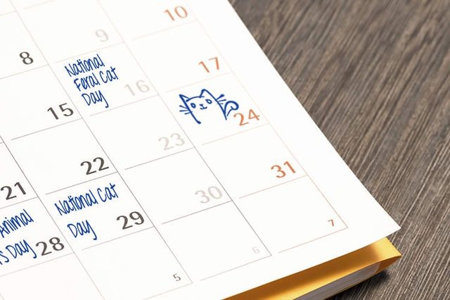 Календарь необычных и веселых праздников на март 2024 года. Инфографика