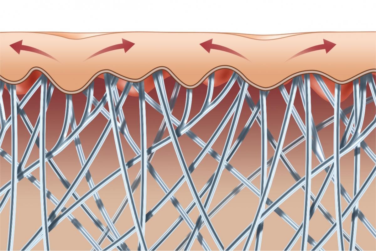 Коллагеновые волокна картинка