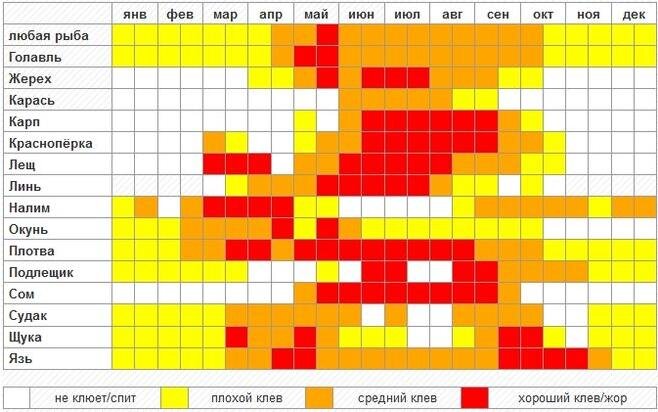 Таблица клева рыбы фото и видео - slmrt.ru