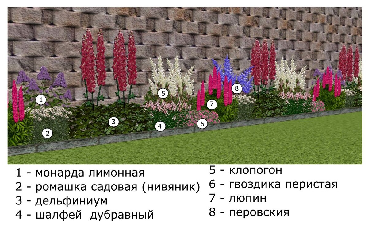 Пример клумбы для начинающих. Рабатки в ландшафтном дизайне схемы. Односторонняя рабатка схема. Клумба из многолетников непрерывного цветения схема вдоль забора. Схемы миксбордеров из кустарников и многолетников вдоль забора.