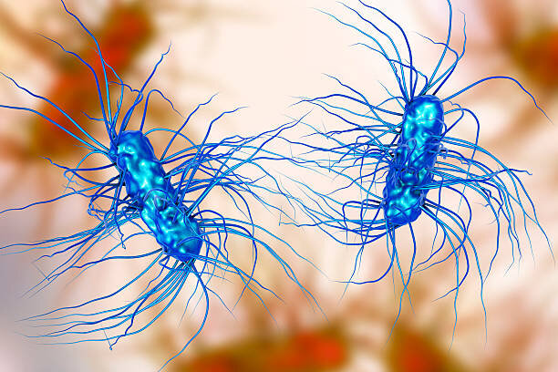 А этим ребятам пора в парикмахерскую