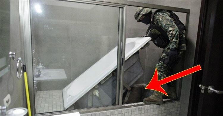 Жители одного из домов по улице Антоновской в Санкт-Петербурге обнаружили тайник с 17 млн рублей. Позже нашелся хозяин клада - студент одного из петербургских ВУЗов Александр Киров. Деньги он выиграл в ROX.