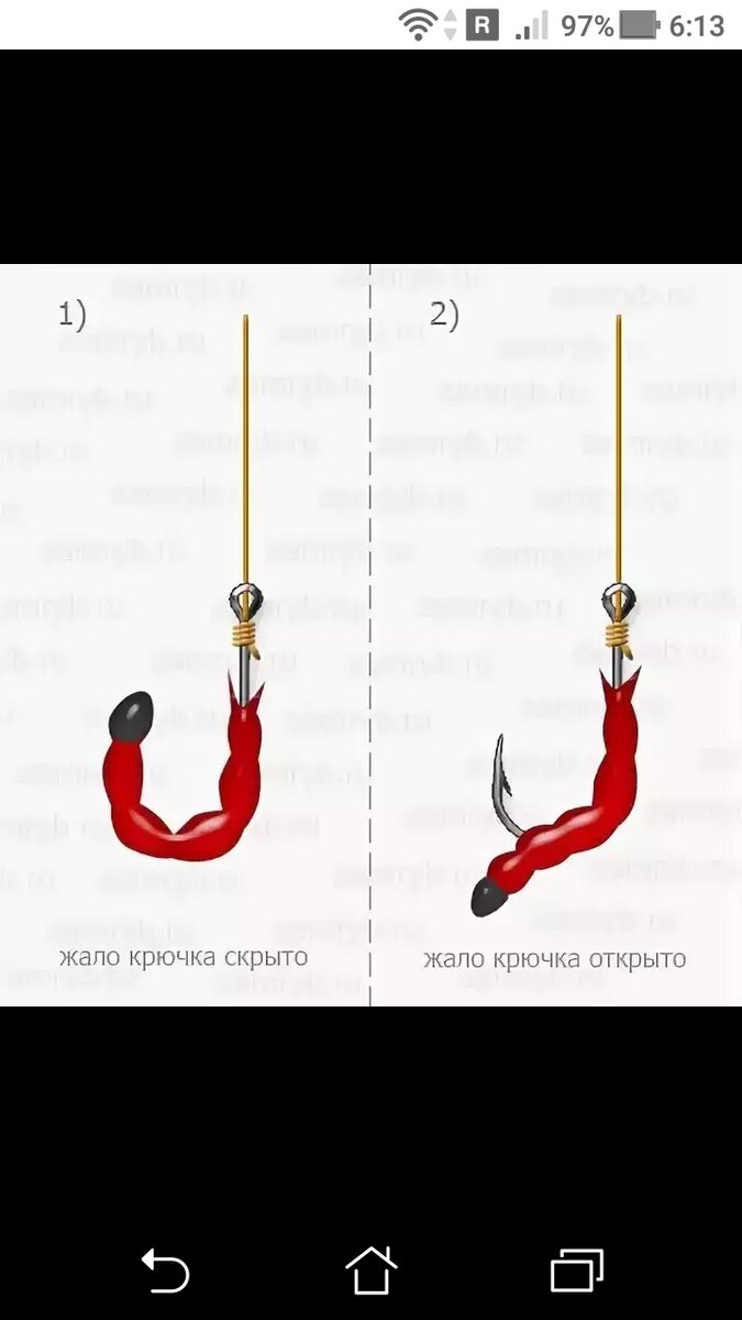 фото рисунок Как нанизывать мотыля на крючок, крючок прищепка